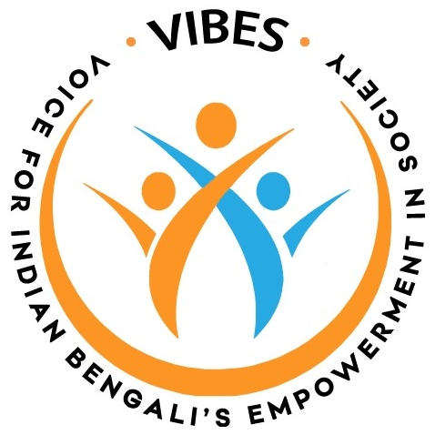 VIBES USA logo